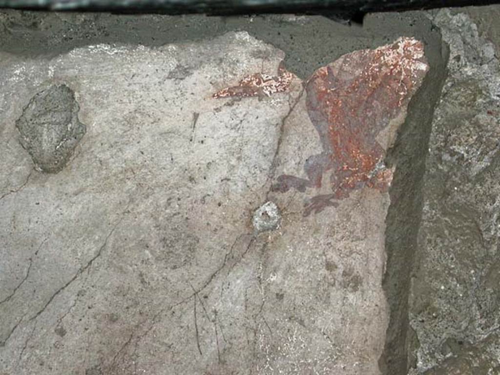 V.6, Herculaneum. September 2003. South wall of shop-room, detail of painted decoration. Photo courtesy of Nicolas Monteix.